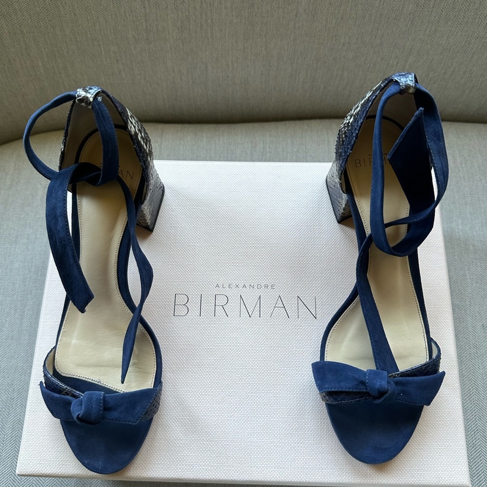 Alexander Birman block heel sandals